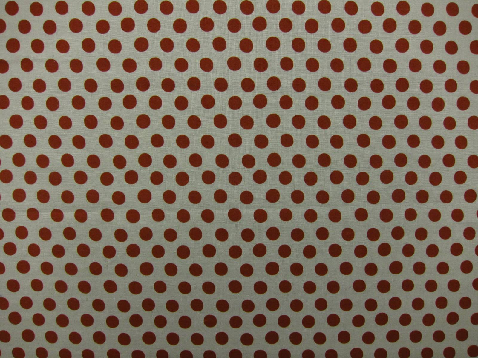 Cotton Broadcloth Print0