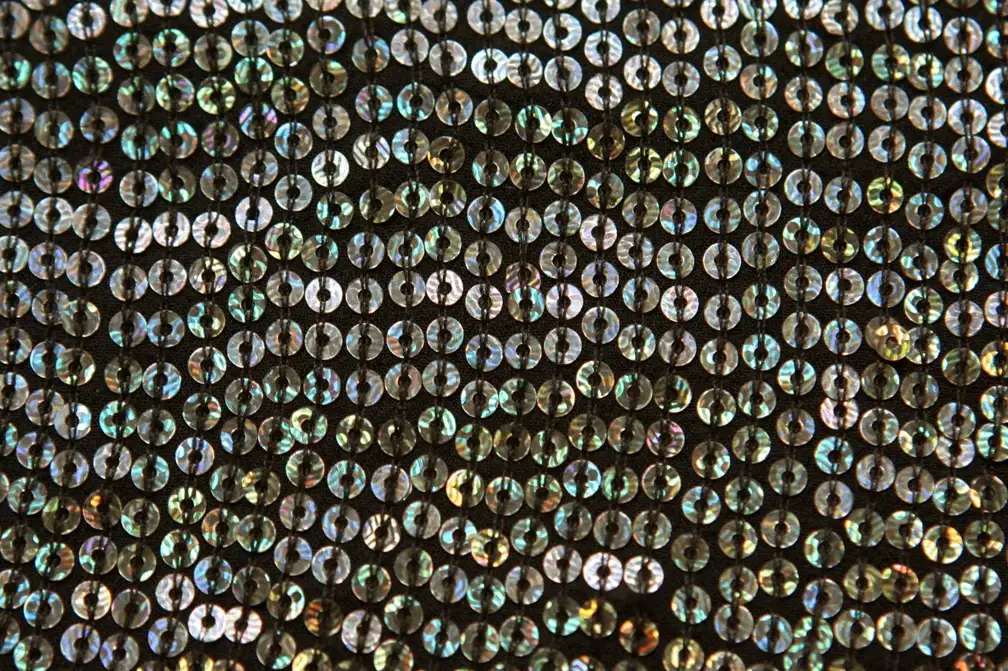 Sequins on Silk Chiffon2