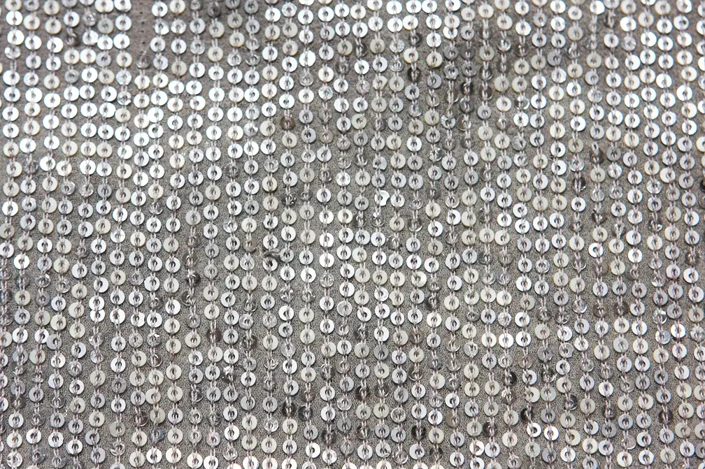 Sequins on Silk Chiffon2