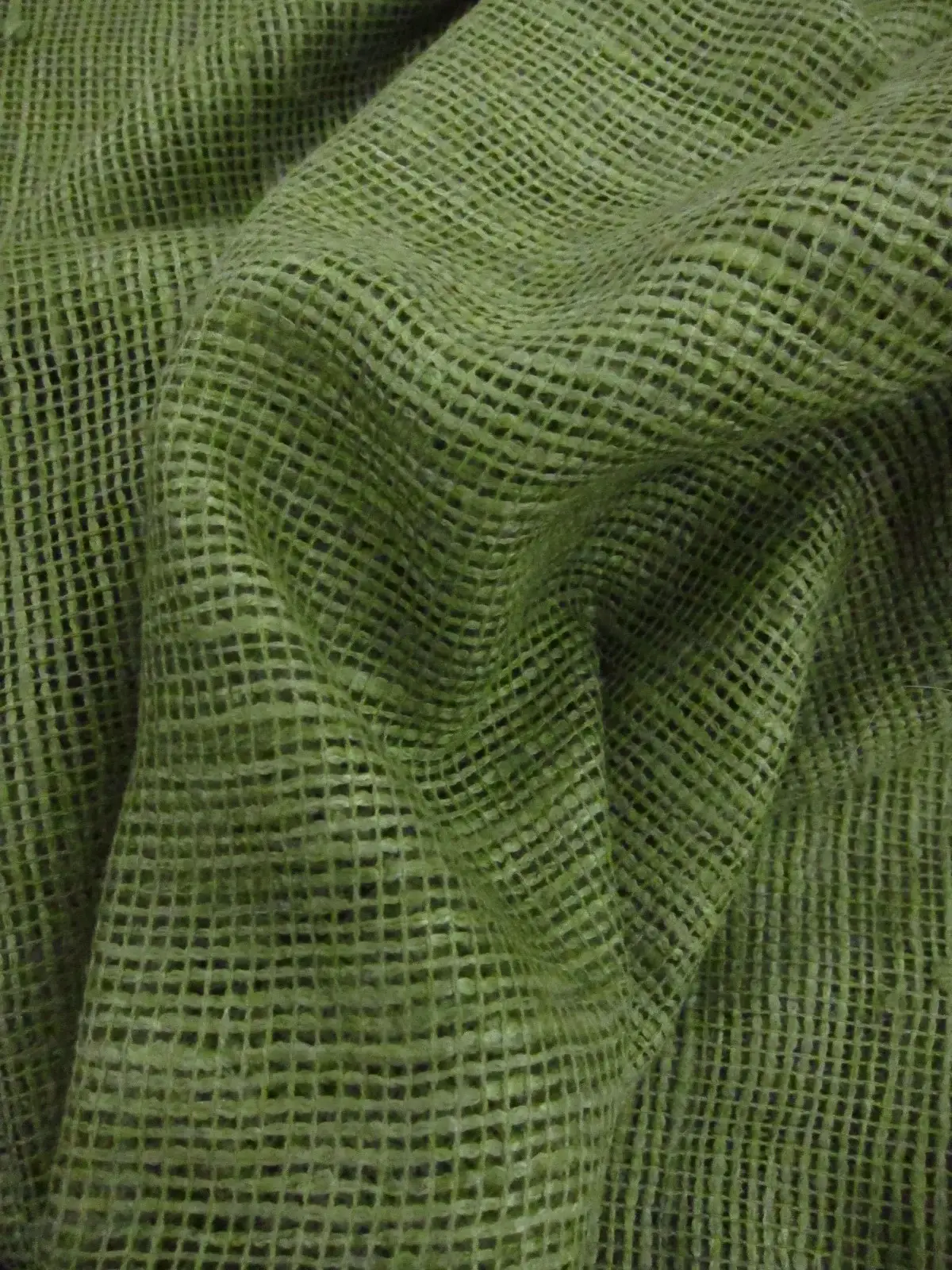 Silk Mesh1