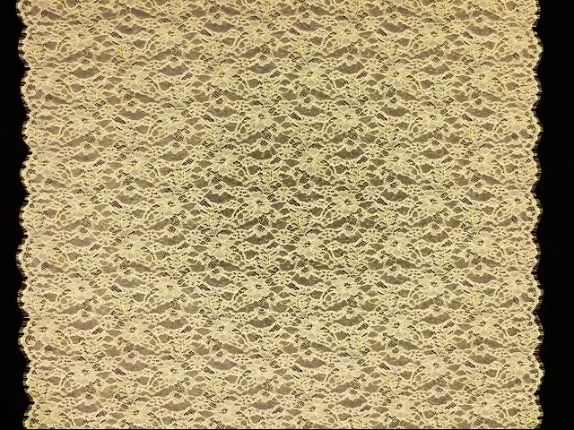 Metallic Chantilly Lace3