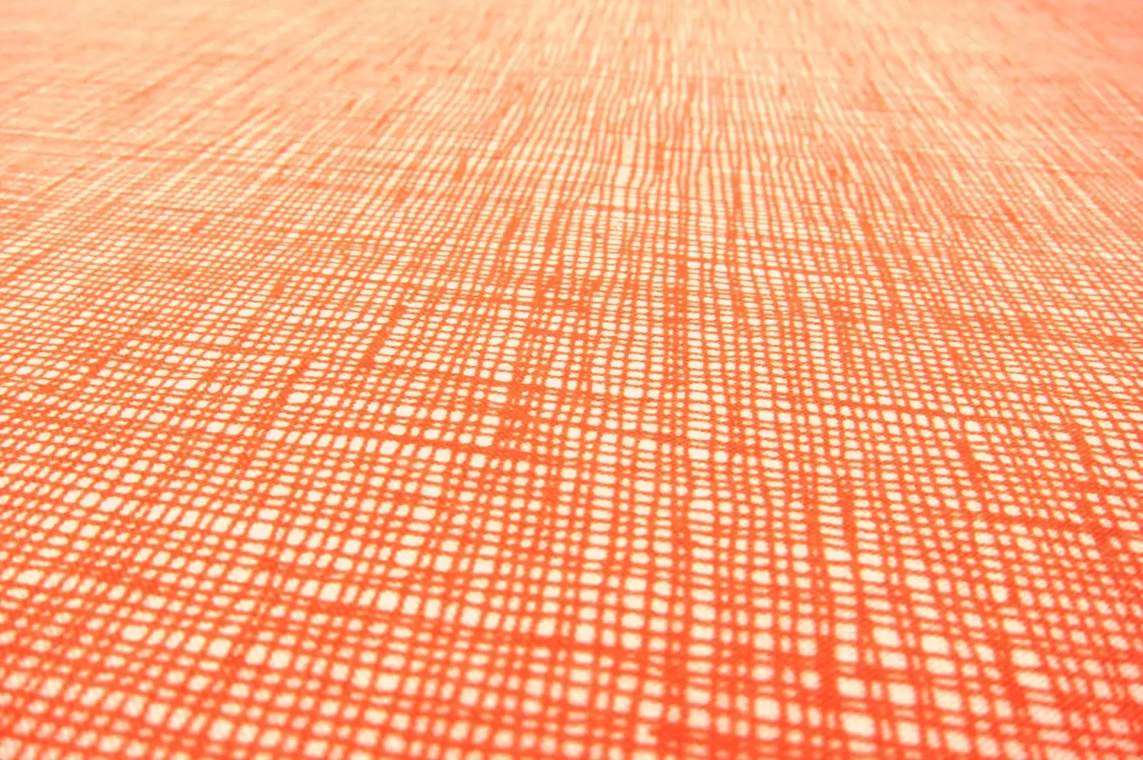 Cotton Broadcloth Print2