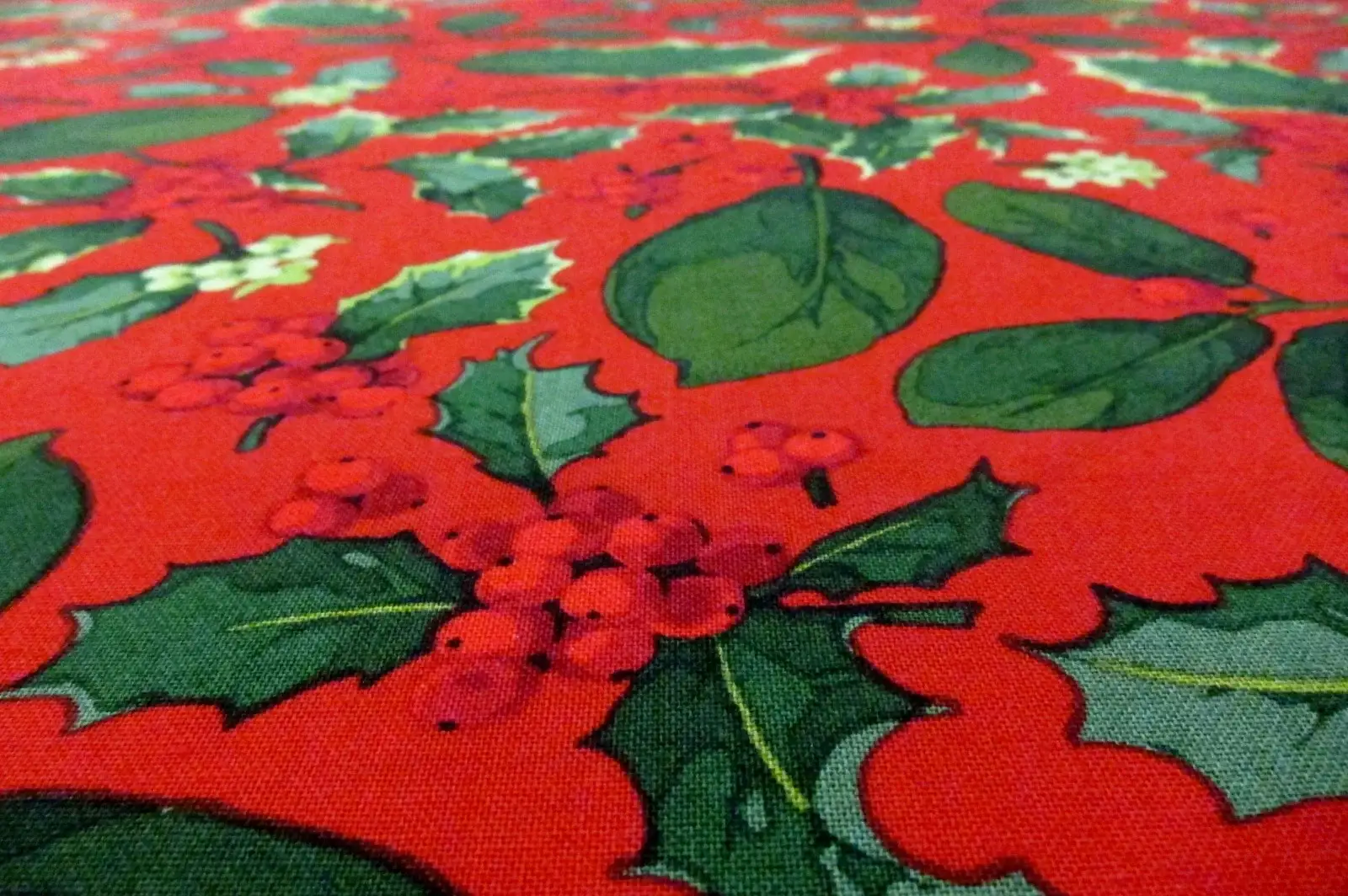 Cotton Broadcloth Print2