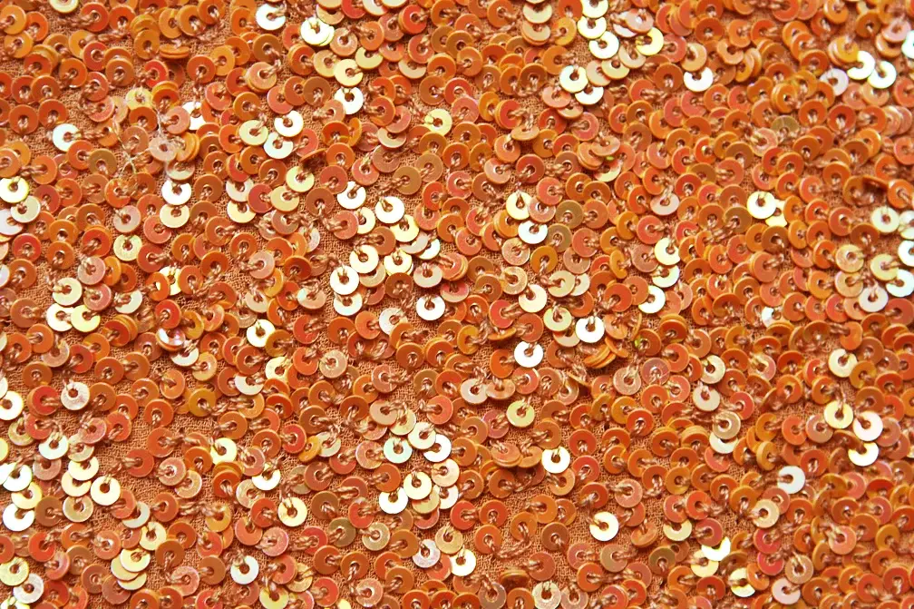 Sequins on Silk Chiffon2