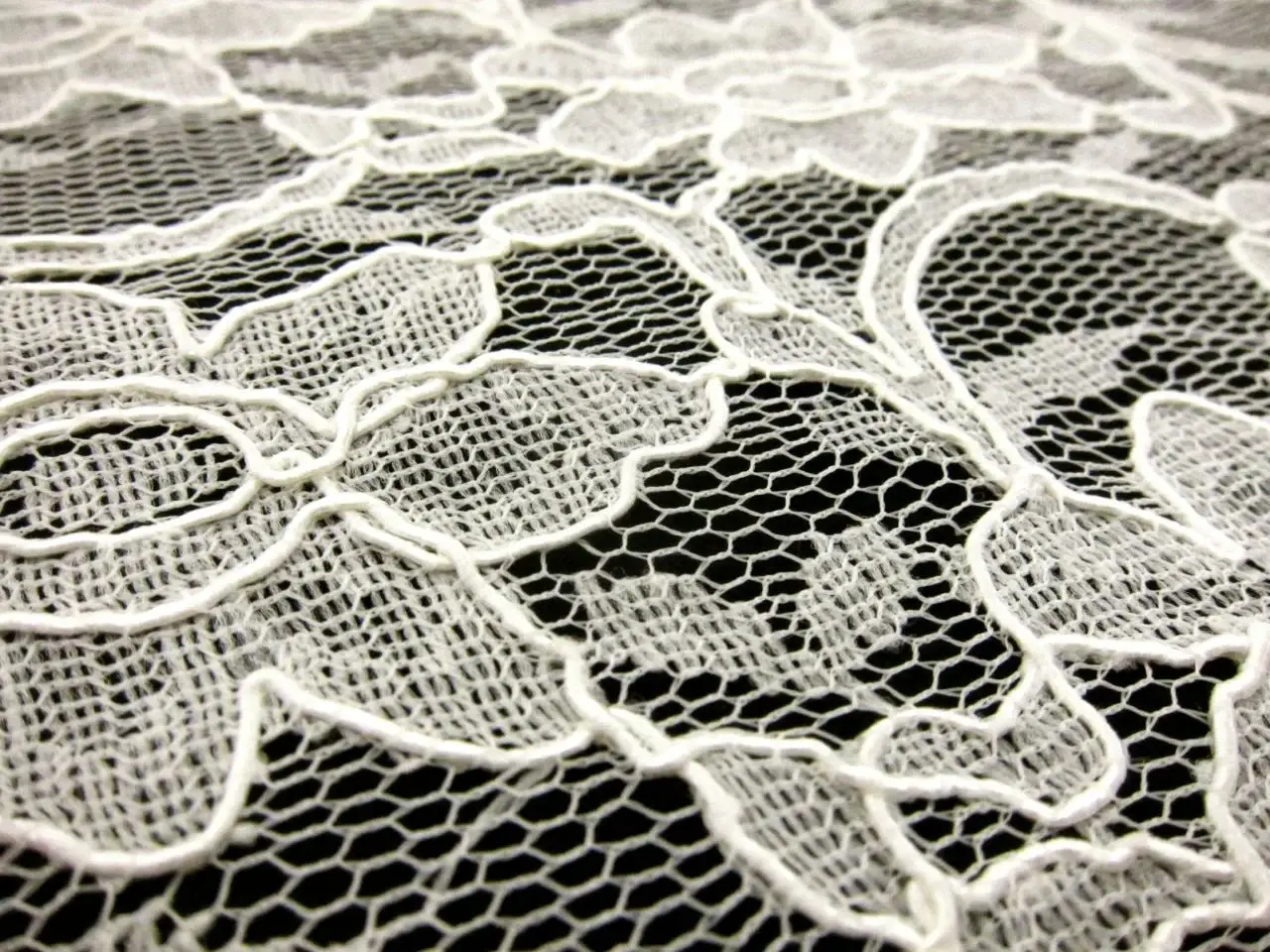 Cotton Nylon Alençon Lace2