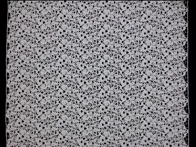 Guipure Lace3