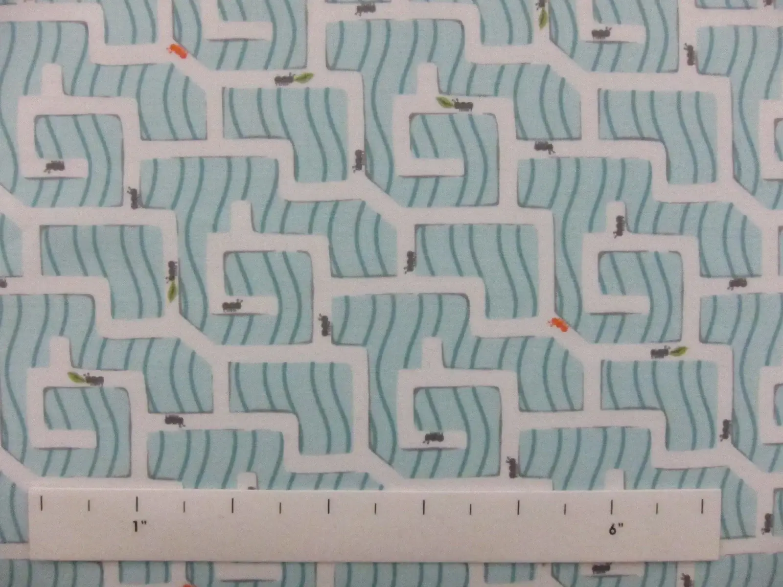 Cotton Broadcloth Print1