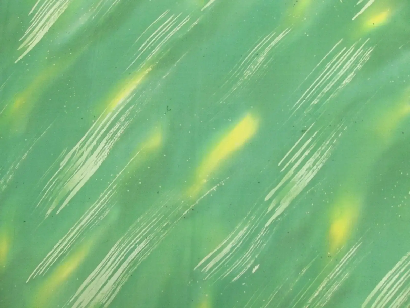Printed Silk Chiffon1
