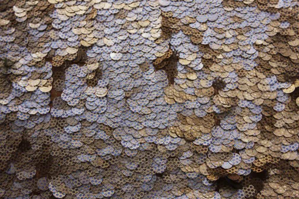 Novelty Paillettes on Silk Chiffon1
