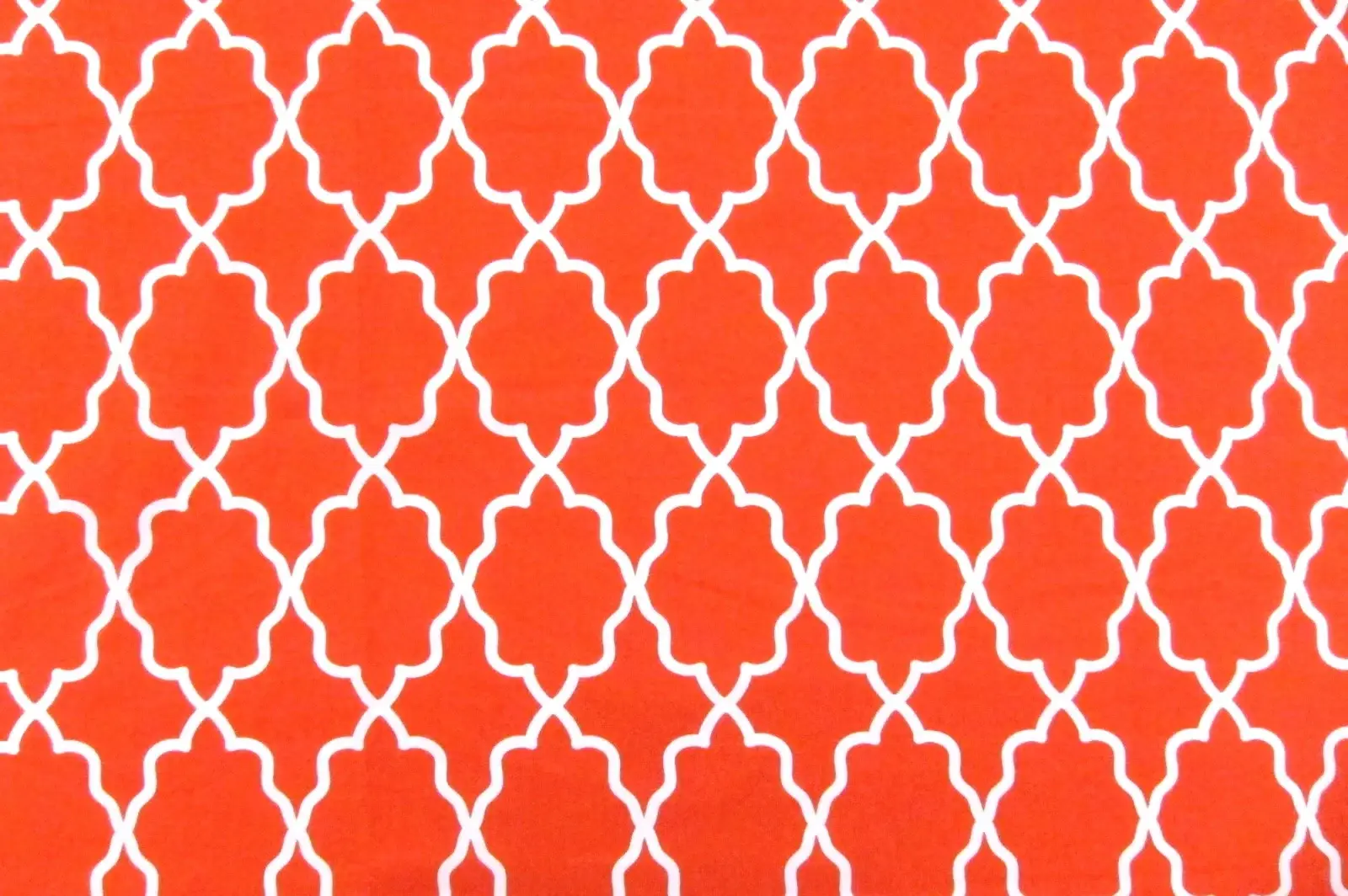 Cotton Broadcloth Print0