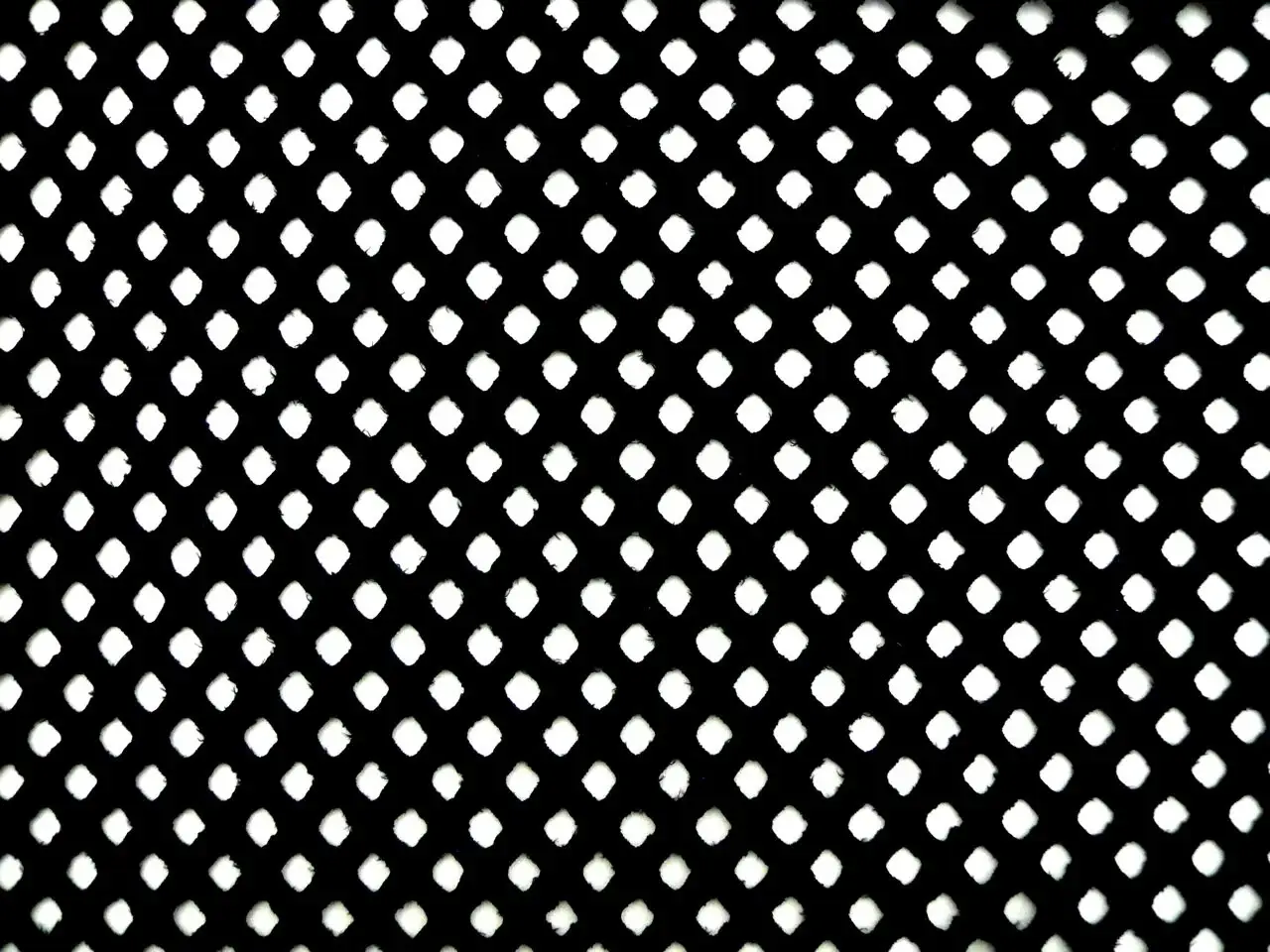 Cotton Eyelet0