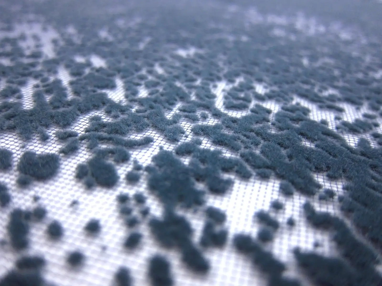 Flocked Tulle (in Grey)2