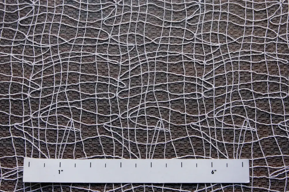 Embroidered Souffle1