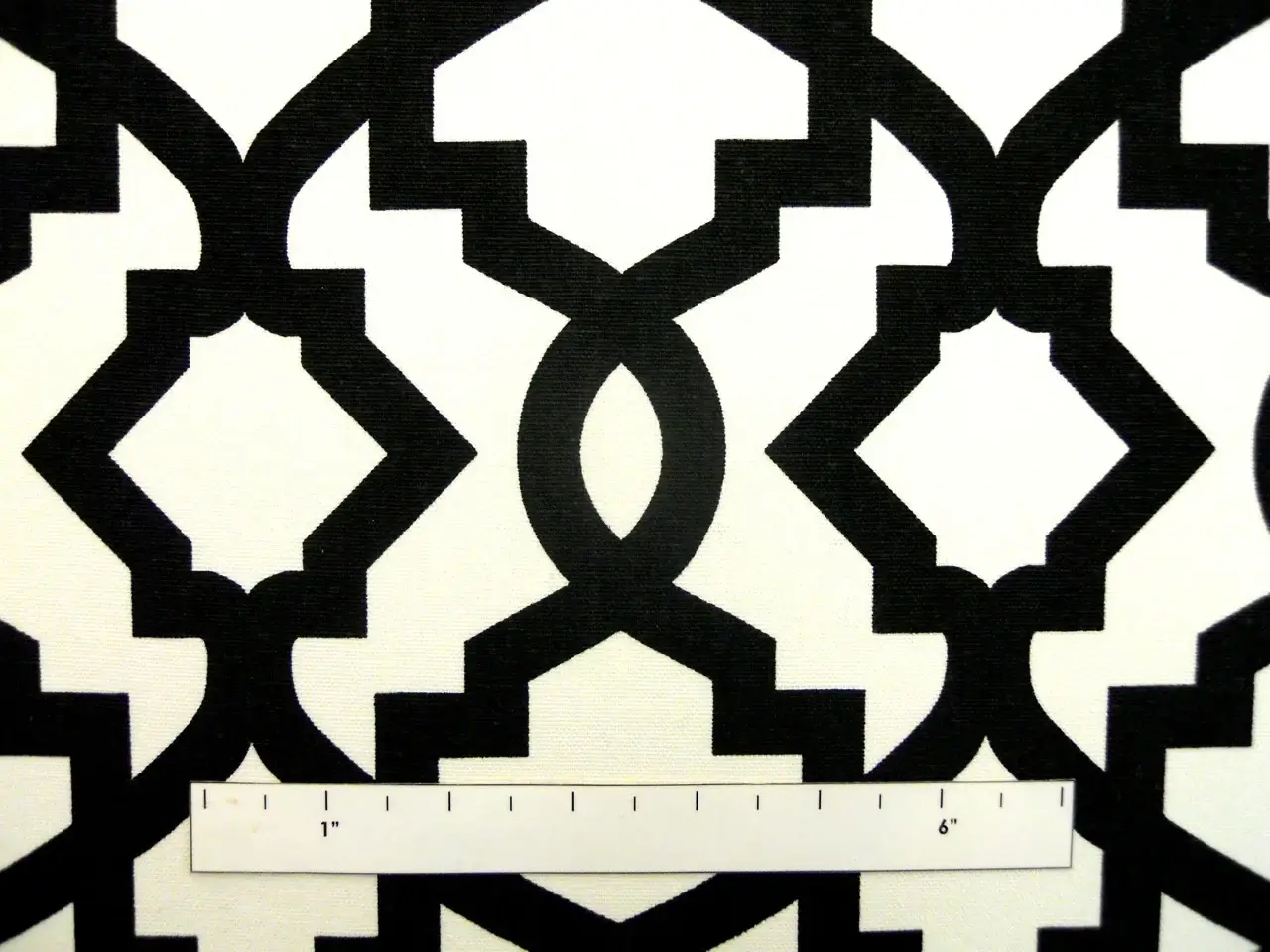 Black Imperial Trellis Cotton Canvas Print1