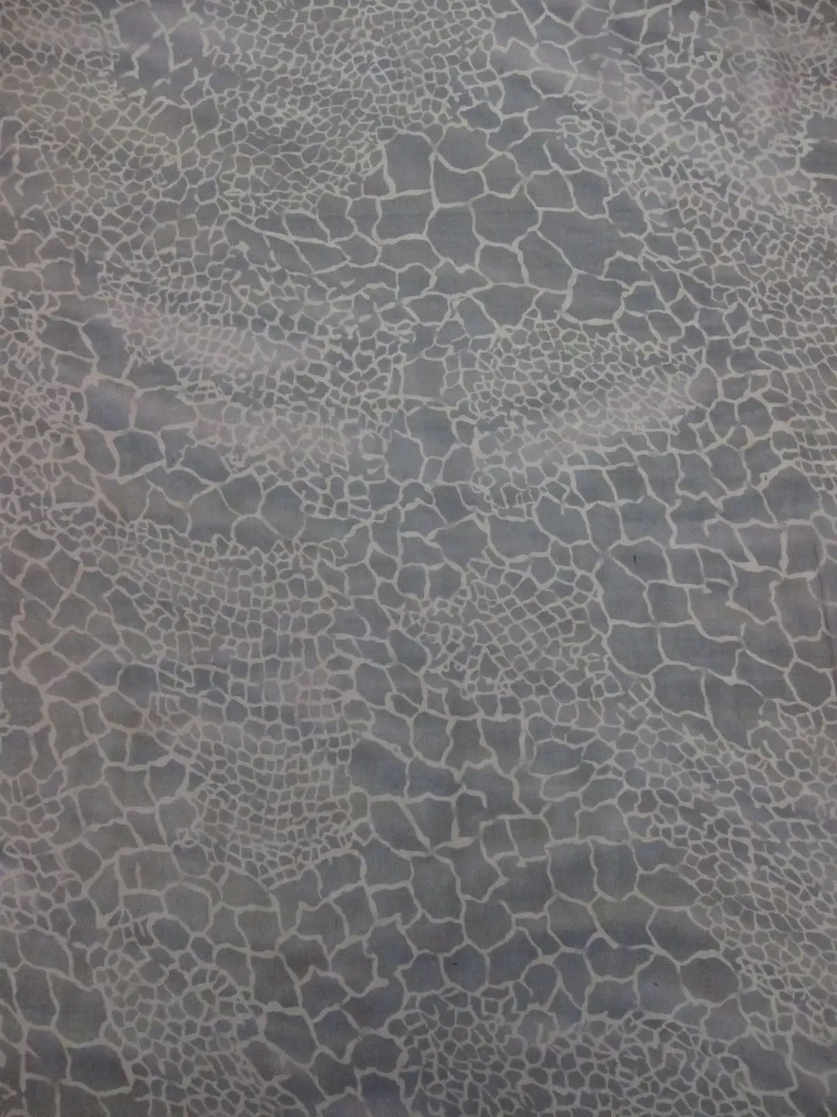 Iridescent Silk Chiffon Print1
