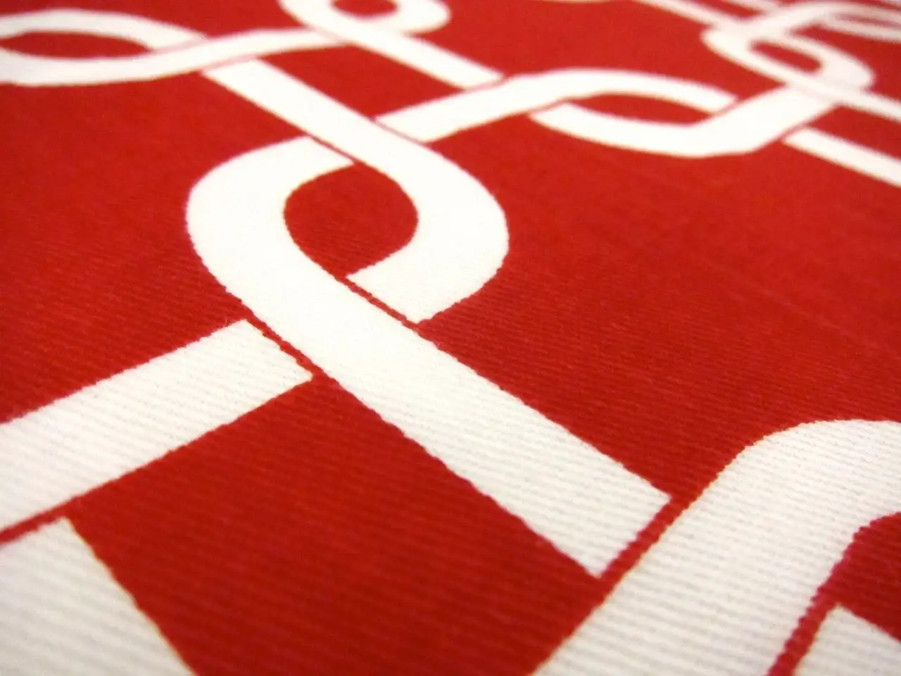Cotton Twill Print2