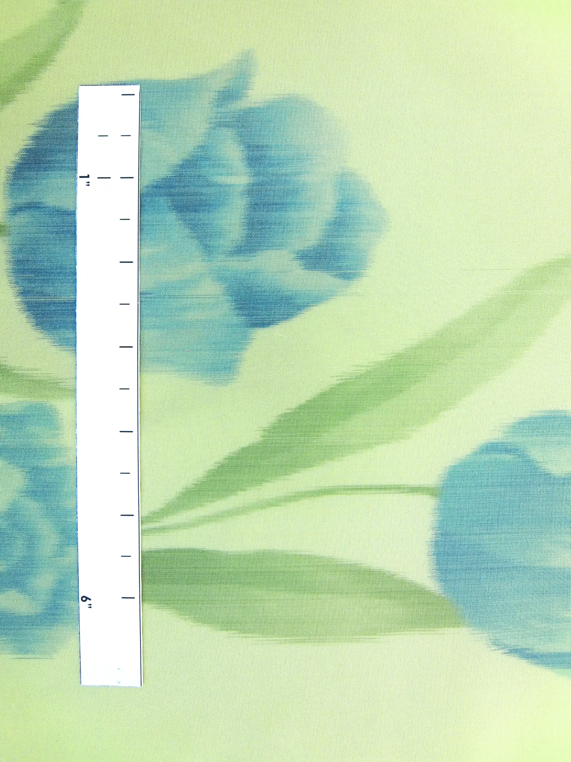 Warp Printed Floral Taffeta0