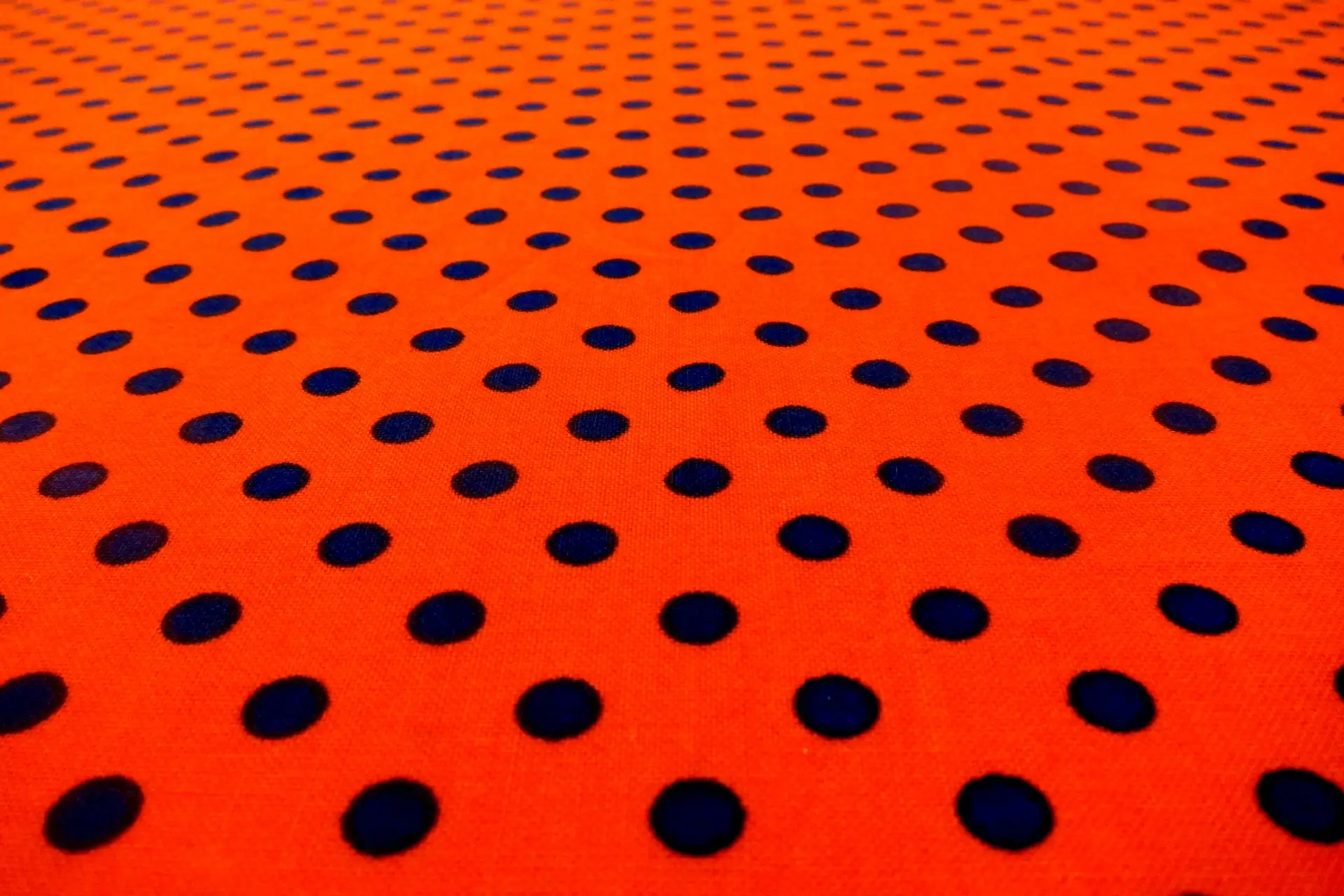 Cotton Broadcloth Print2