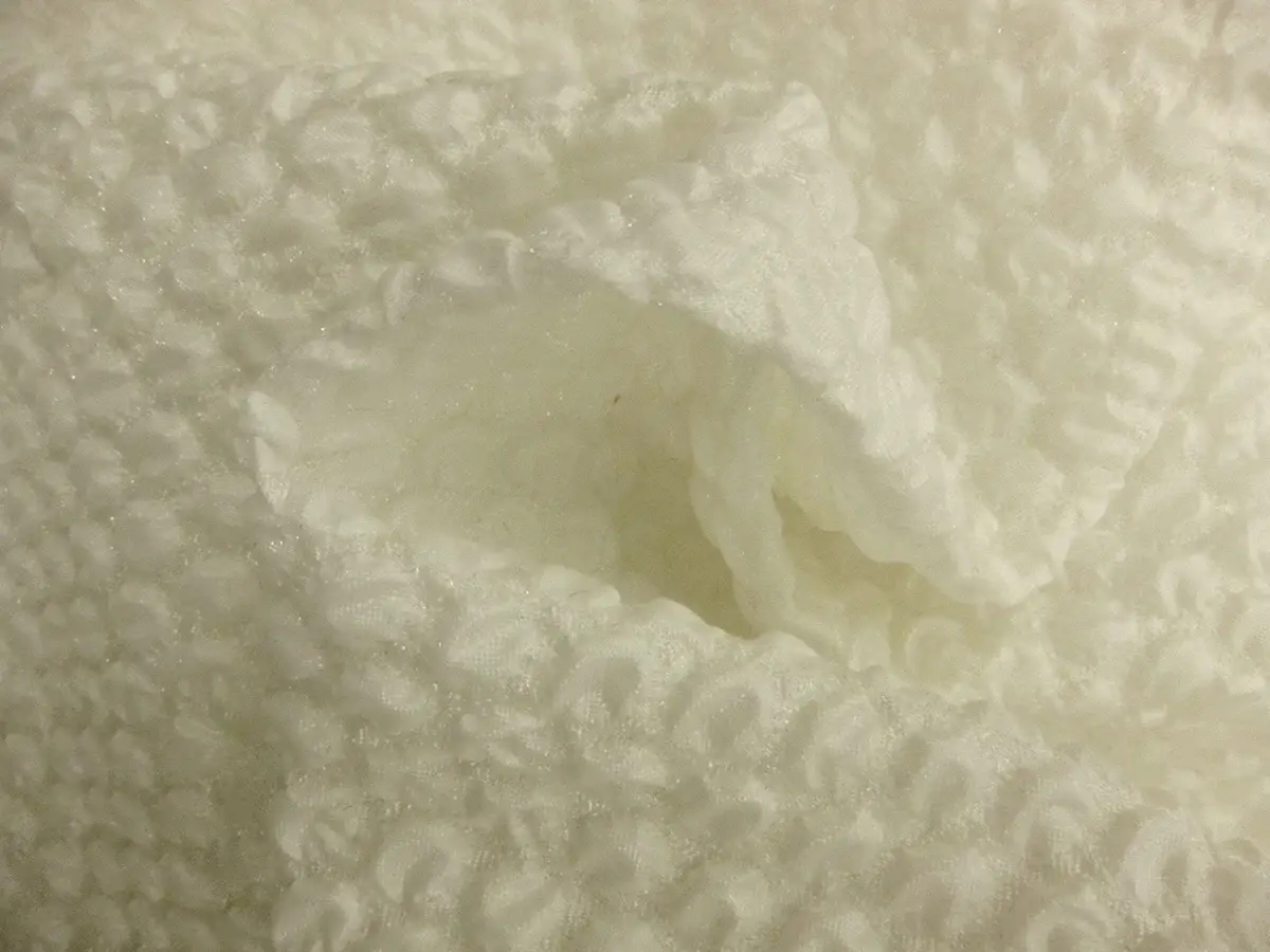 Silk Blend Organza Cloqué1