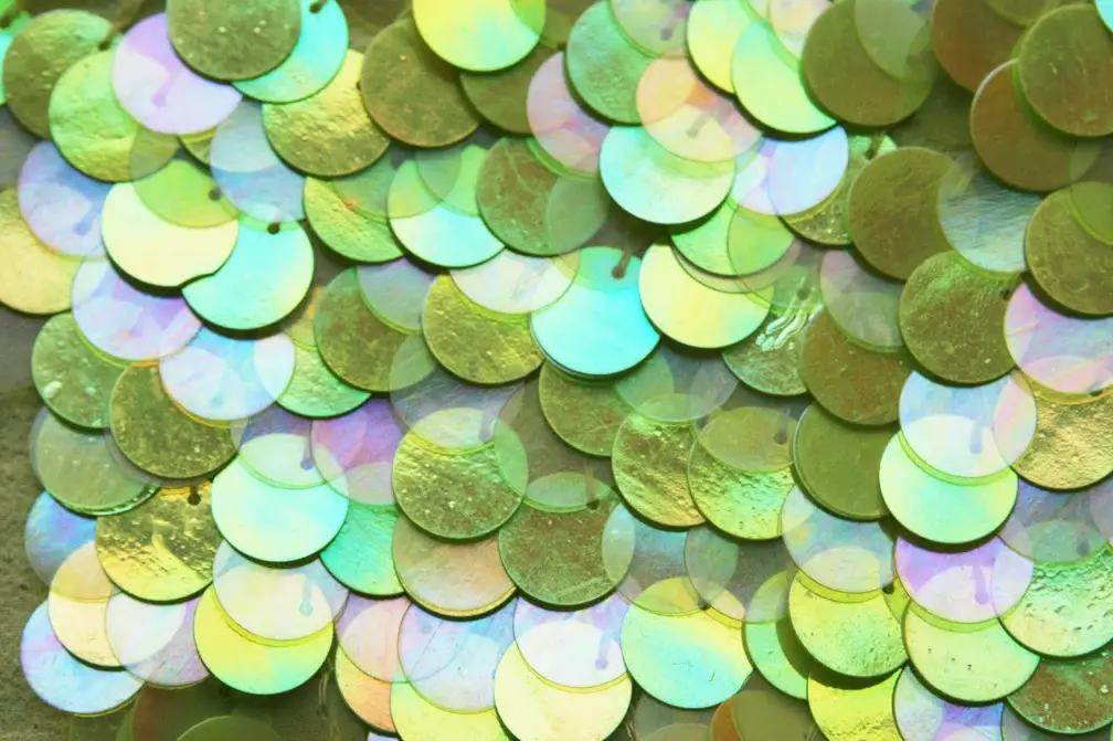 Paillettes on Silk Chiffon0