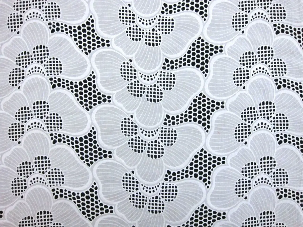 Cotton Eyelet0