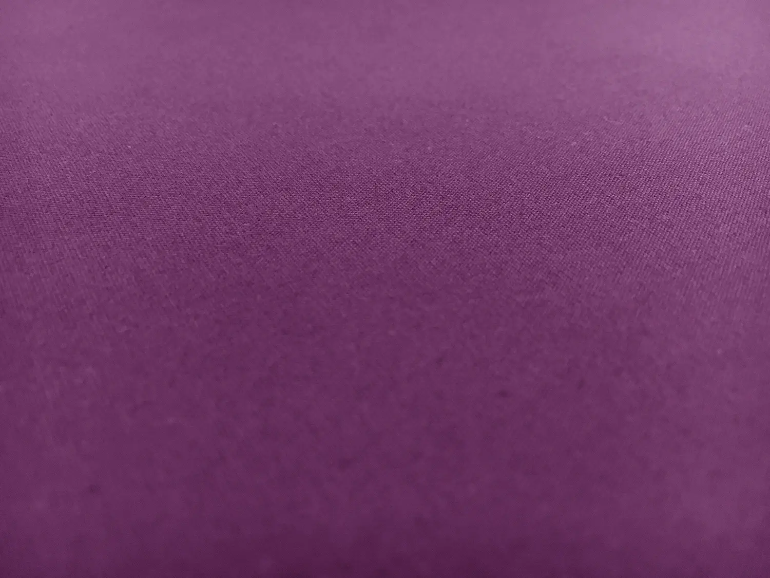 Cotton Poplin in Grape0