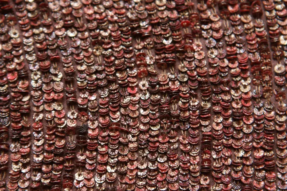 Sequins on Silk Chiffon2