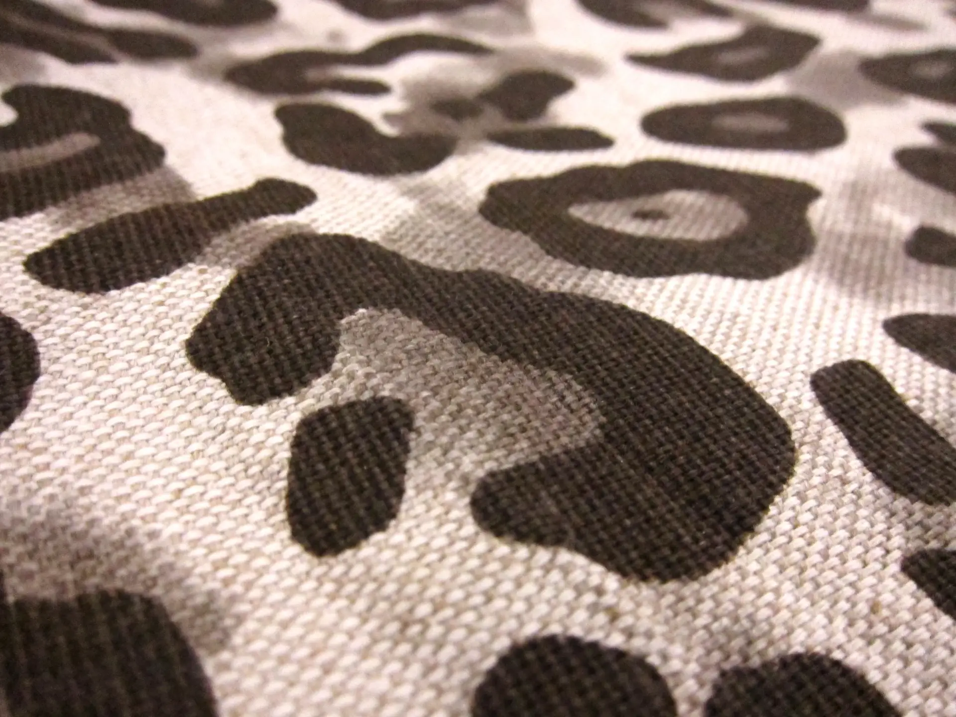 Cotton Canvas Print2