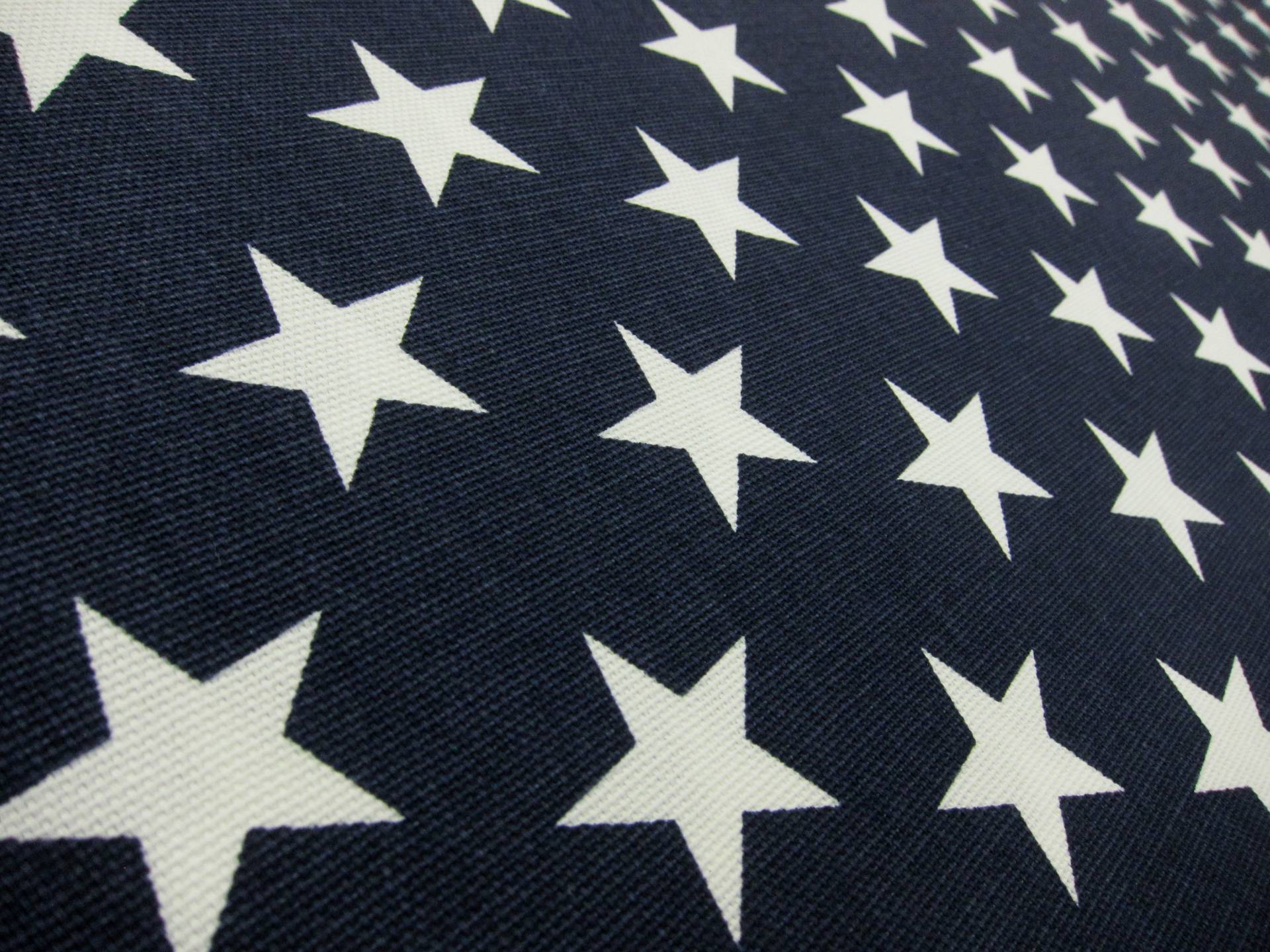 Cotton Canvas StarsPrint2