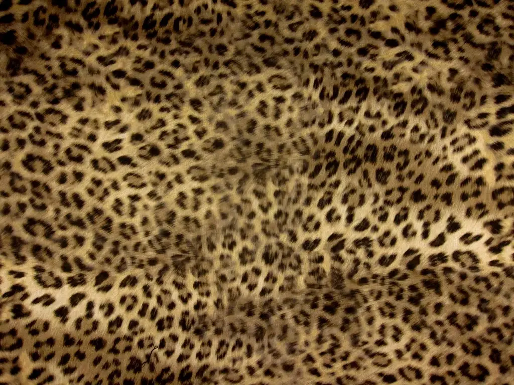 Animal Printed Satin0