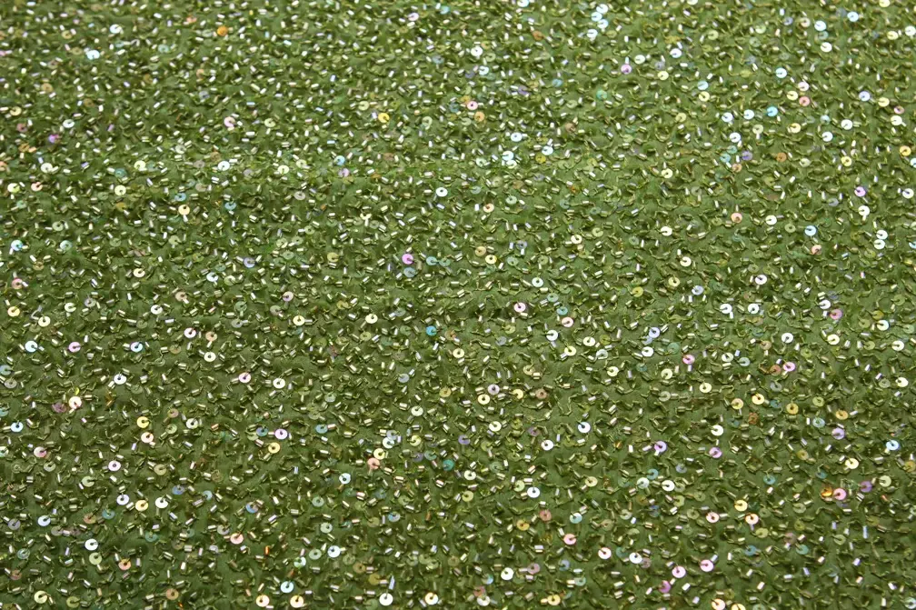 Sequins on Silk Chiffon0