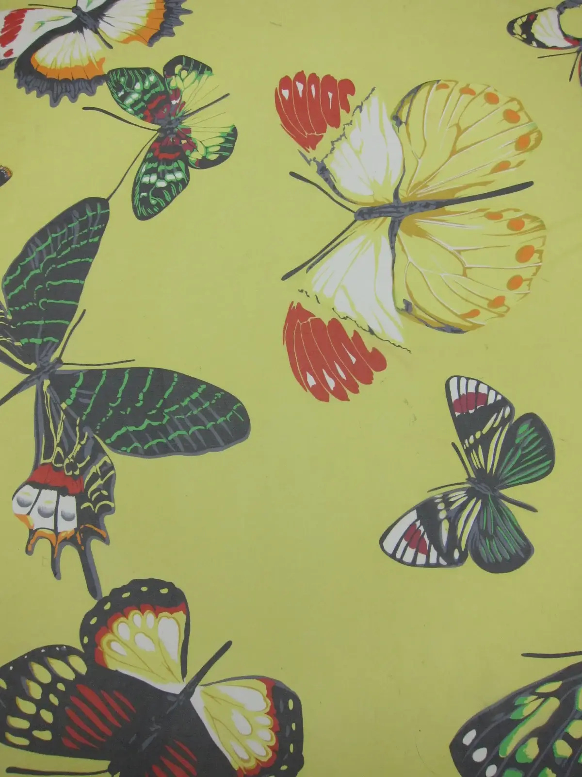 Printed Silk Chiffon0