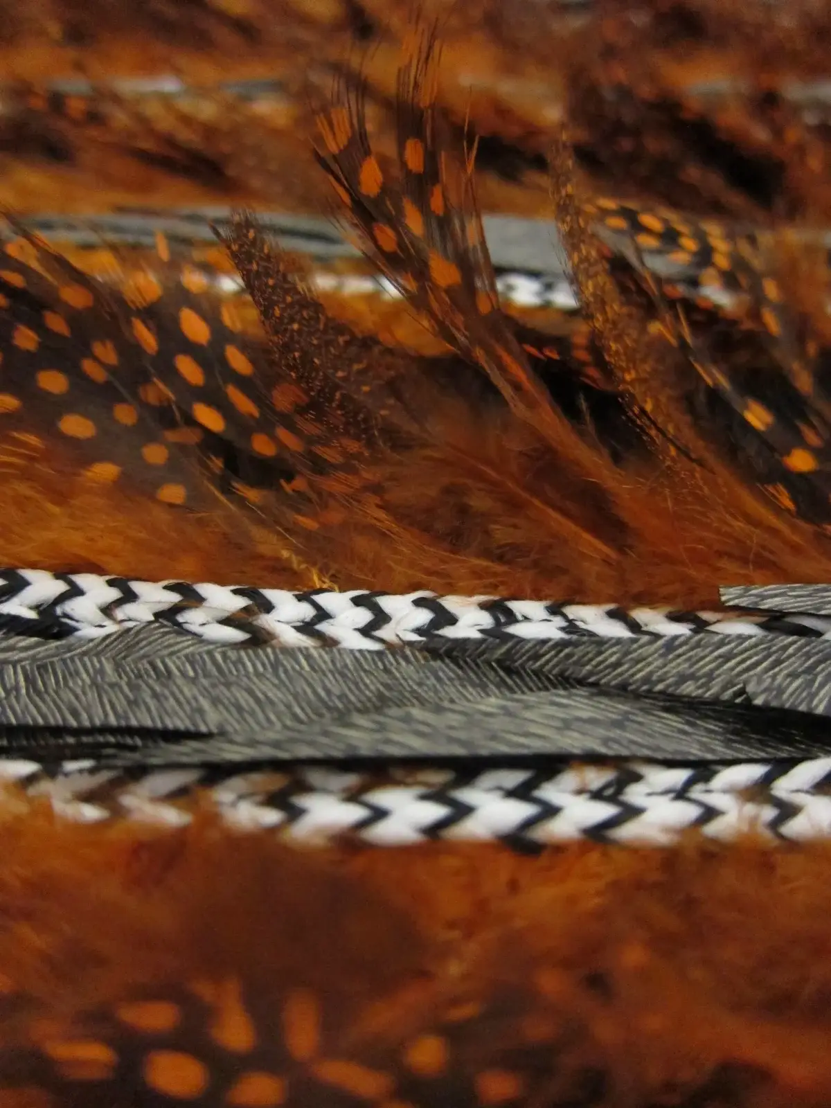 Novelty Feathers2