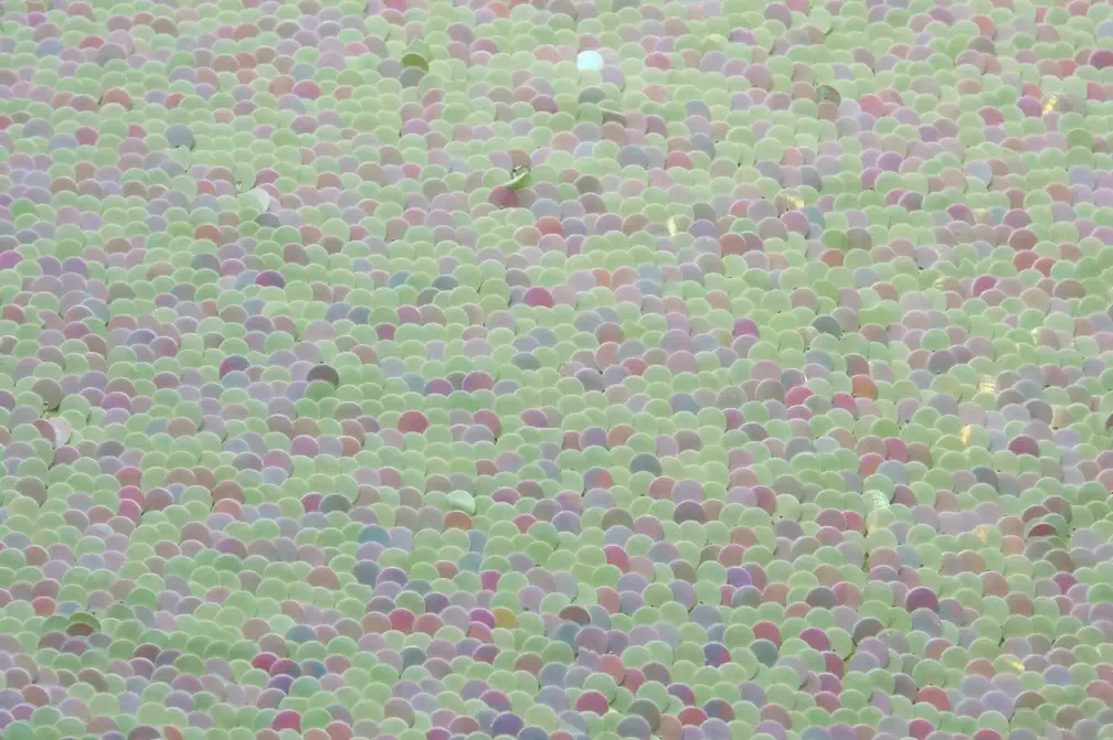 Paillettes on Silk Chiffon0