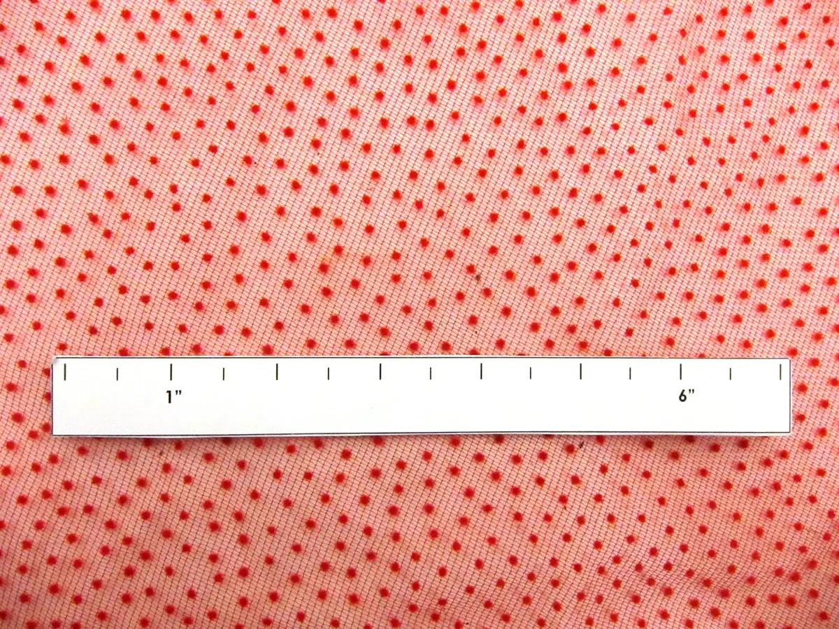 Polka Dot Flocking on Tulle2