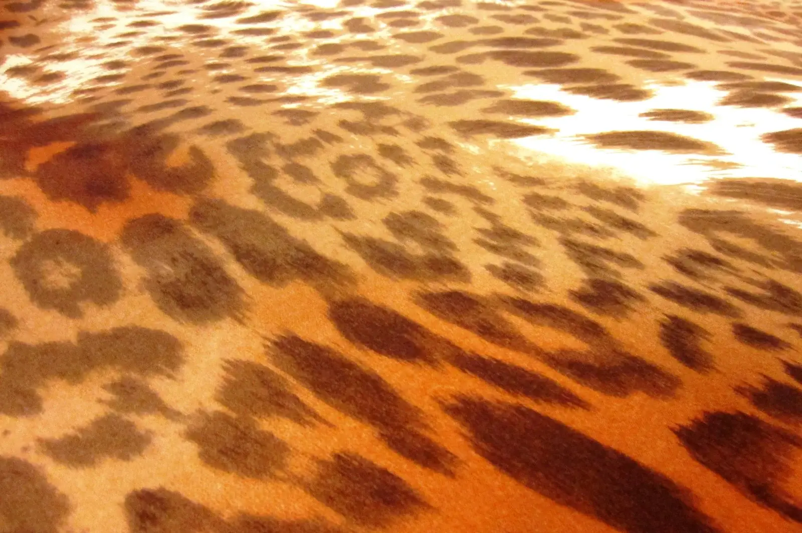 Printed Silk Charmeuse2