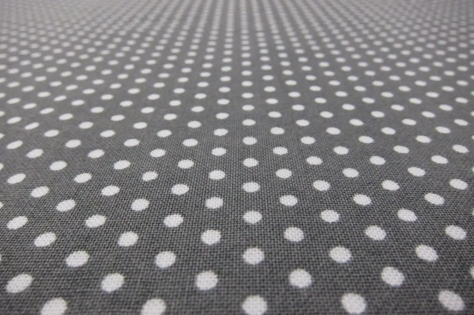 Cotton Broadcloth Print2
