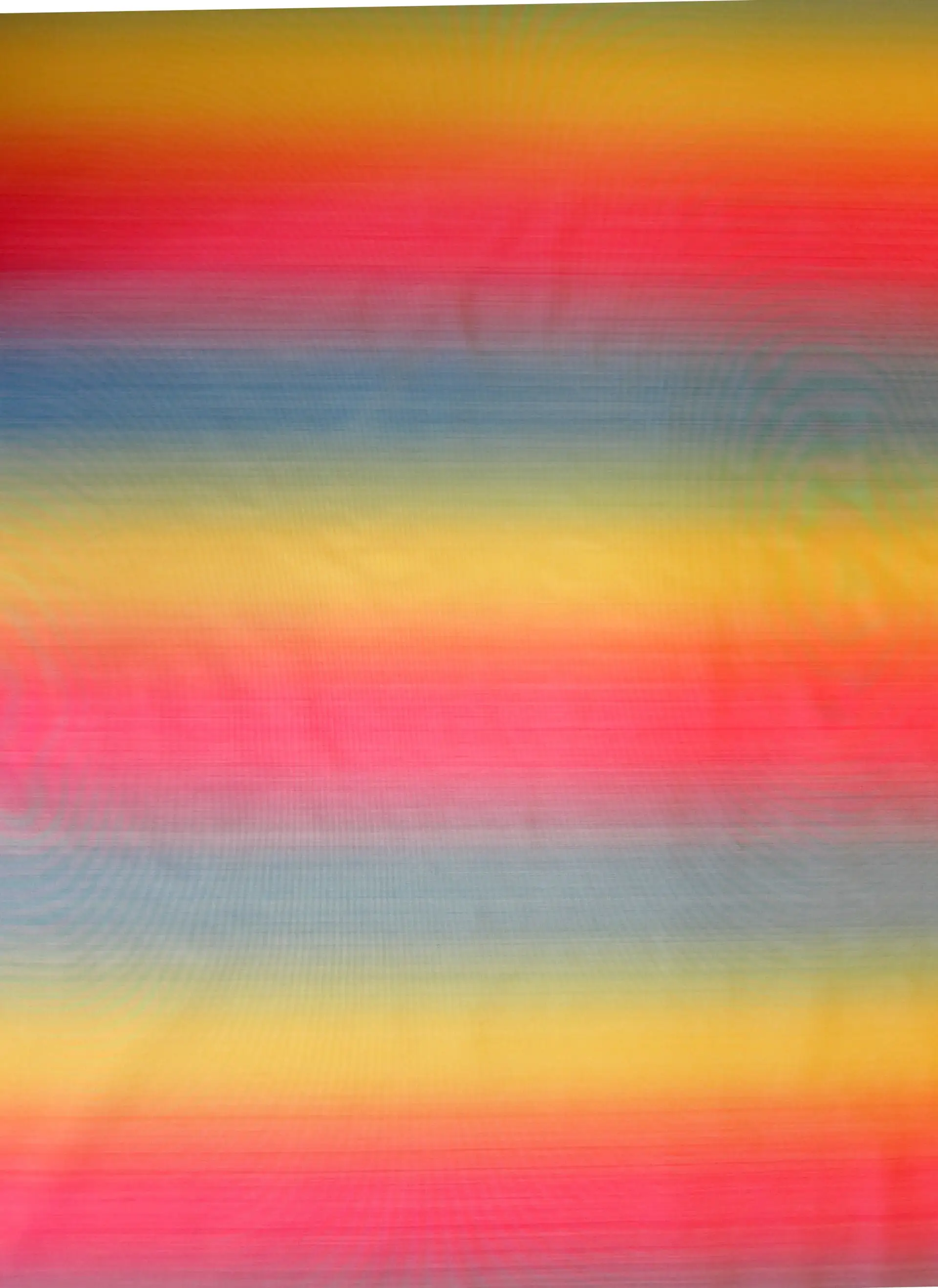 Silk Warp Printed Taffeta0