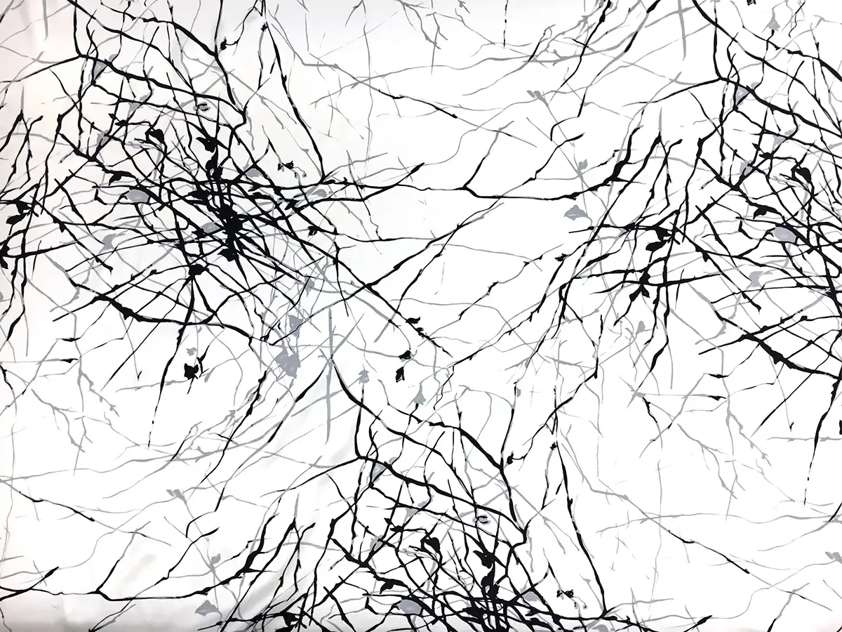 Printed Silk Charmeuse with Abstract Line Patterns0
