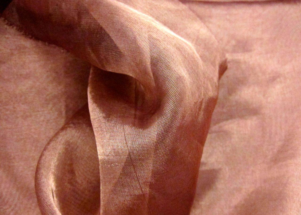 Metallic Silk Organza0