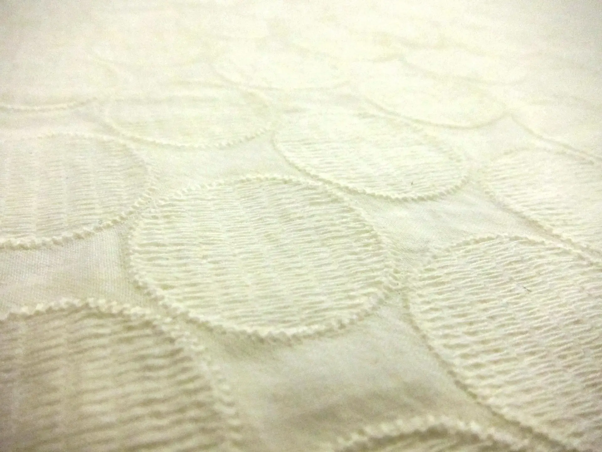 Embroidered Cotton (in Ivory)2