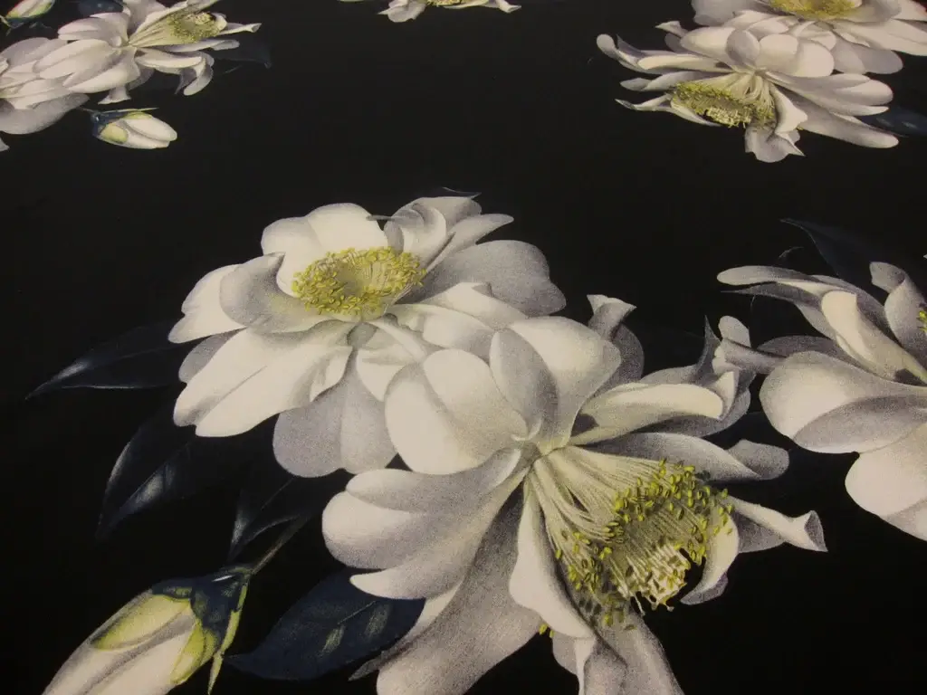 Printed Silk Mikado2