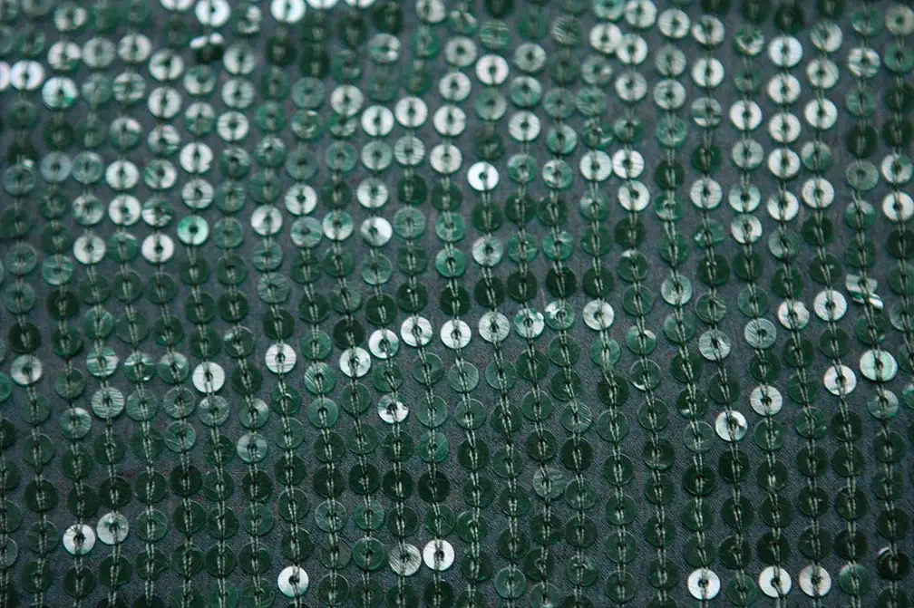 Sequins on Silk Chiffon2