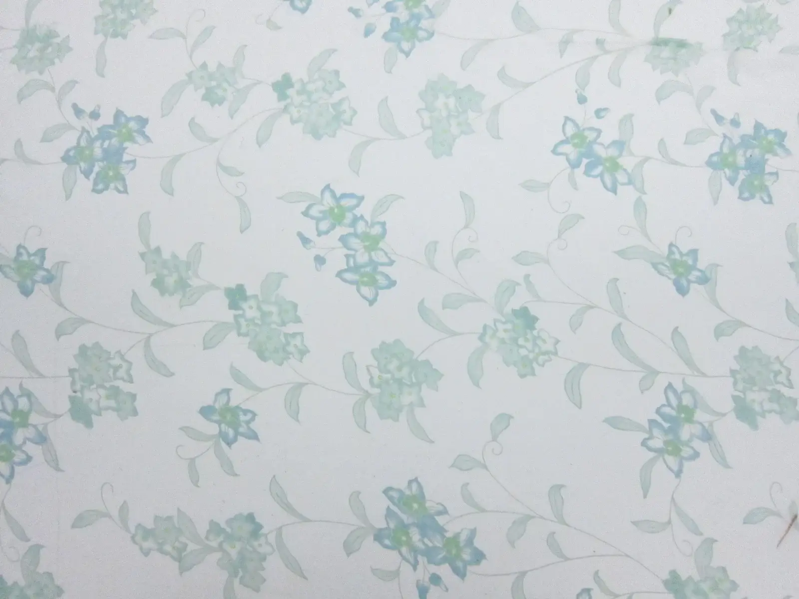 Printed Silk Crinkle Chiffon1