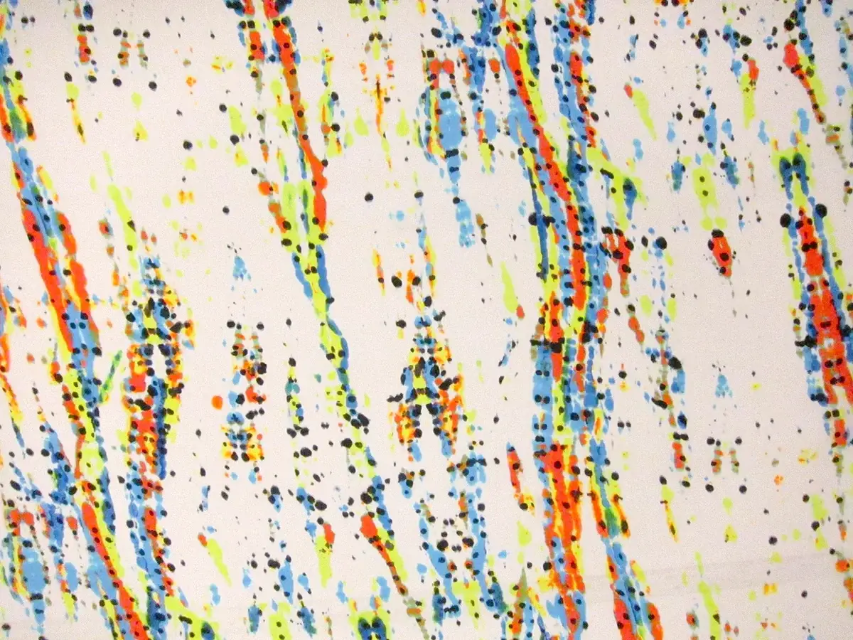 Printed Silk Gazar0