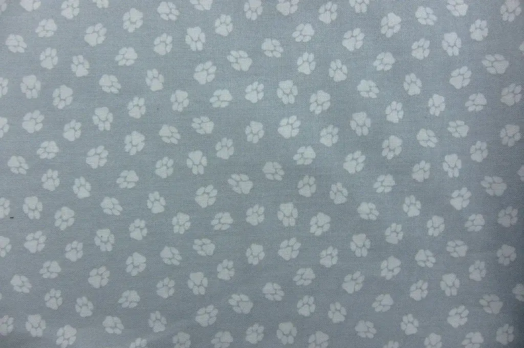Cotton Broadcloth Print0