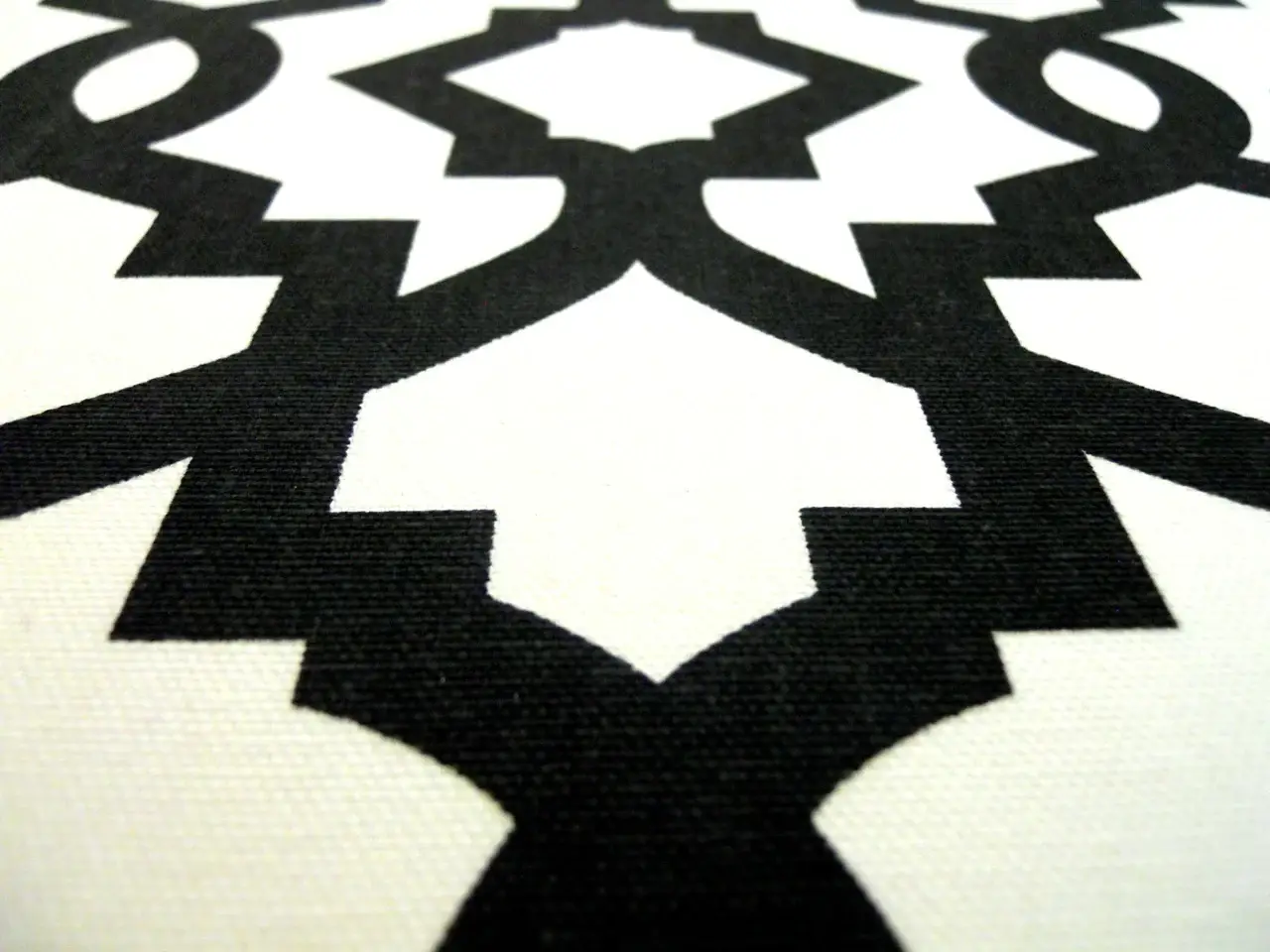 Black Imperial Trellis Cotton Canvas Print2