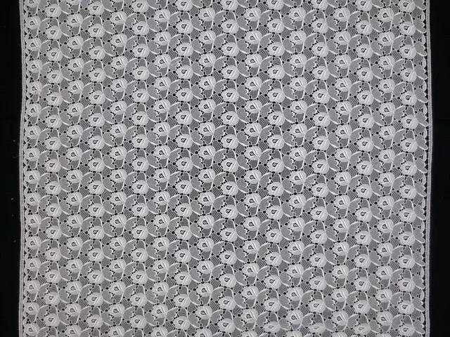 Guipure Lace3