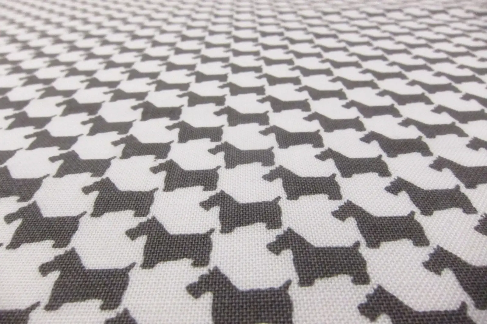Cotton Broadcloth Print2