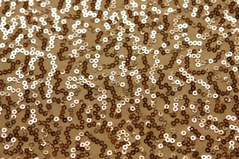 Sequined Jersey2